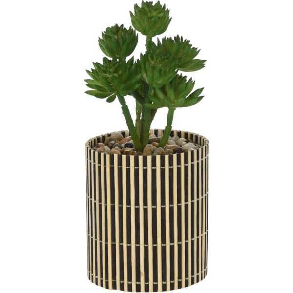 PLANT IN BAMBOO POT 8X8X19CM