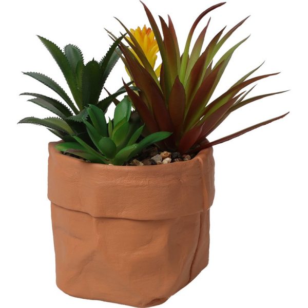 PLANT IN POT 20CM ASSORTED