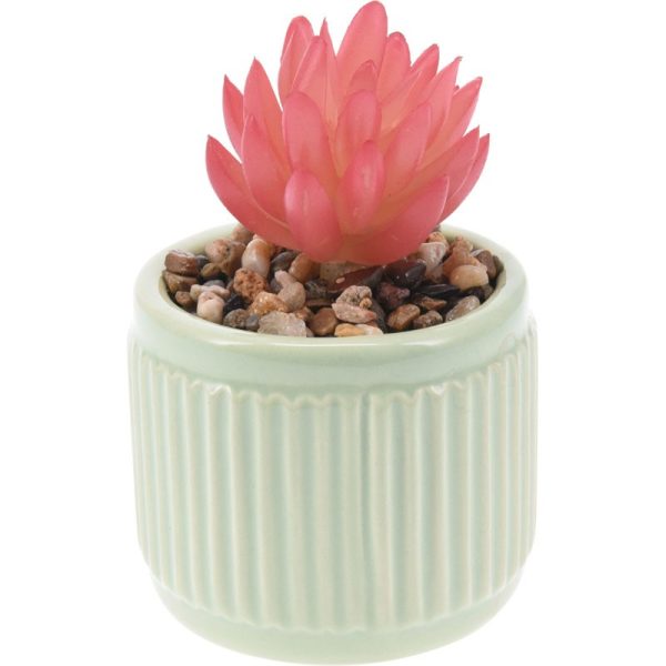 PLANT WITH POT DOLOMITE 7X9CM