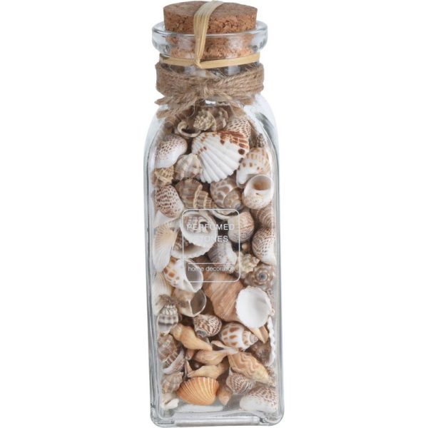 SMALL SHELLS IN GLASS BOTTLE