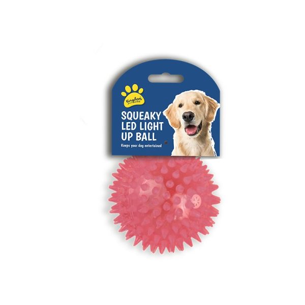 SQUEAKY LED LIGHT UP BALL DOG TOY