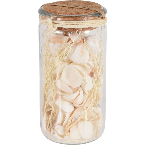 DECO SHEELS IN GLASS JAR ASSORTED