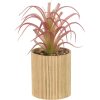 PLANT IN BAMBOO POT 8X8X19CM