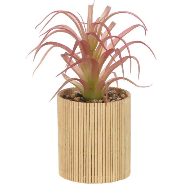 PLANT IN BAMBOO POT 8X8X19CM