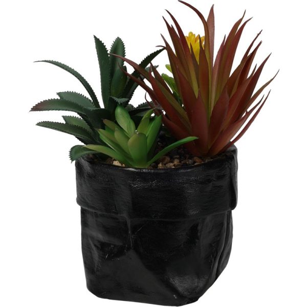 PLANT IN POT 20CM ASSORTED