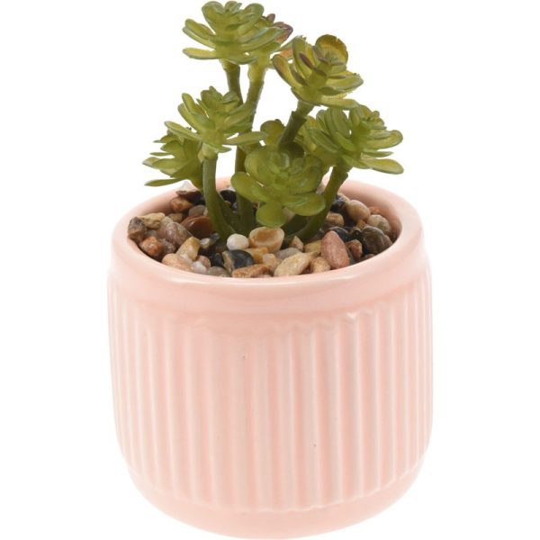 PLANT WITH POT DOLOMITE 7X9CM