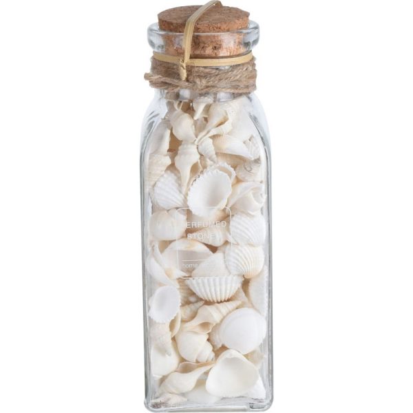 SMALL SHELLS IN GLASS BOTTLE