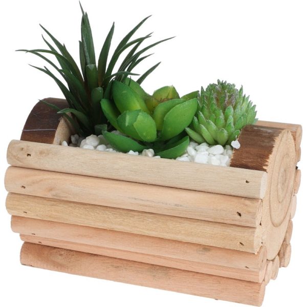 SUCCULENT IN BOX 3 ASSORTED 14CM