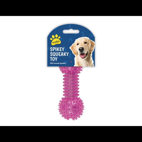 SPIKEY SQUEAKY DOG TOY