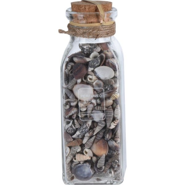 SMALL SHELLS IN GLASS BOTTLE