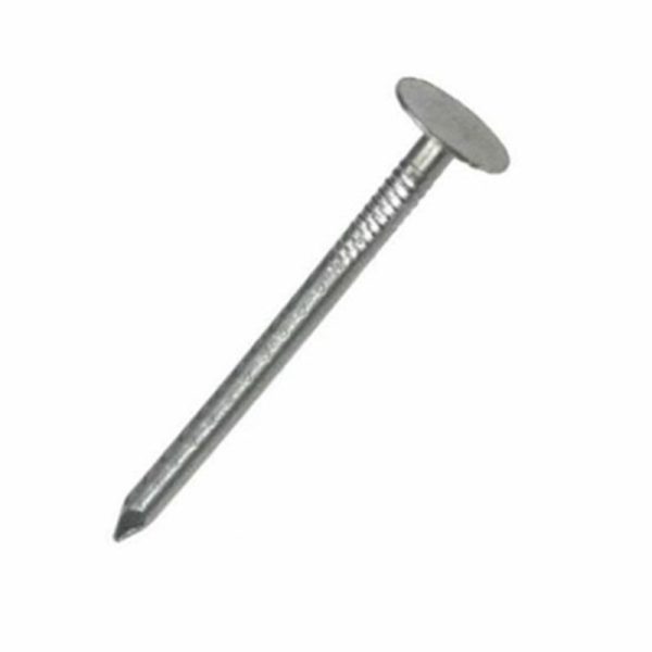 SECURIT CLOUT NAILS GALV 20MM LARGE HEAD