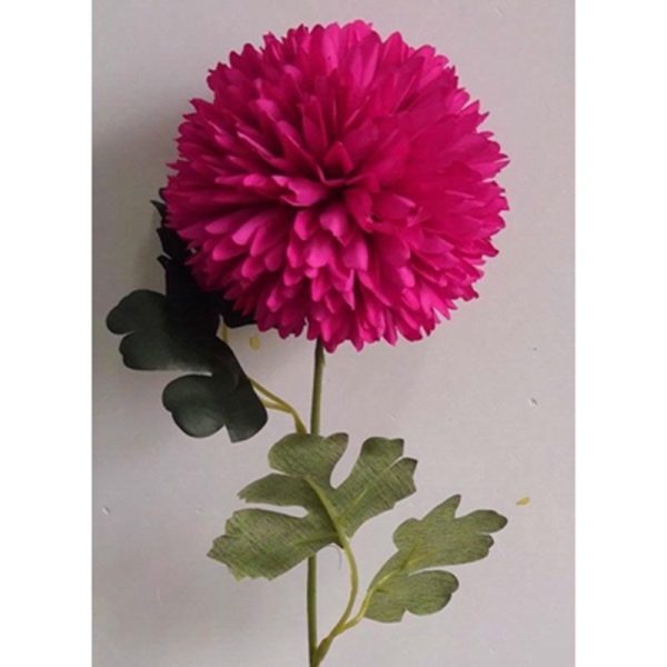 ALIUM SINGLE STEM 50CM FUCHSIA