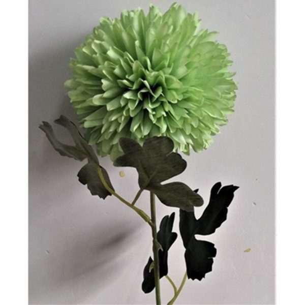 ALIUM SINGLE STEM 50CM LIGHT GREEN