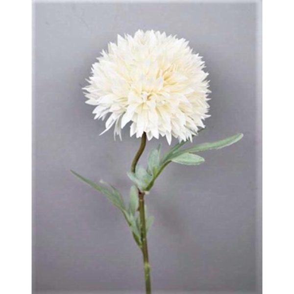 ALIUM SINGLE STEM 50CM WHITE