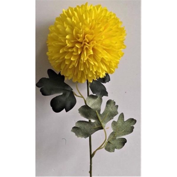 ALIUM SINGLE STEM 50CM YELLOW