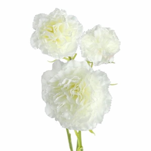 CARNATION SINGLE STEM 58CM IVORY