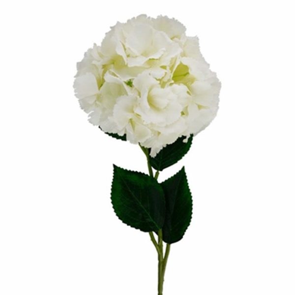 HYDRANGEA LONG STEM 73CM IVORY