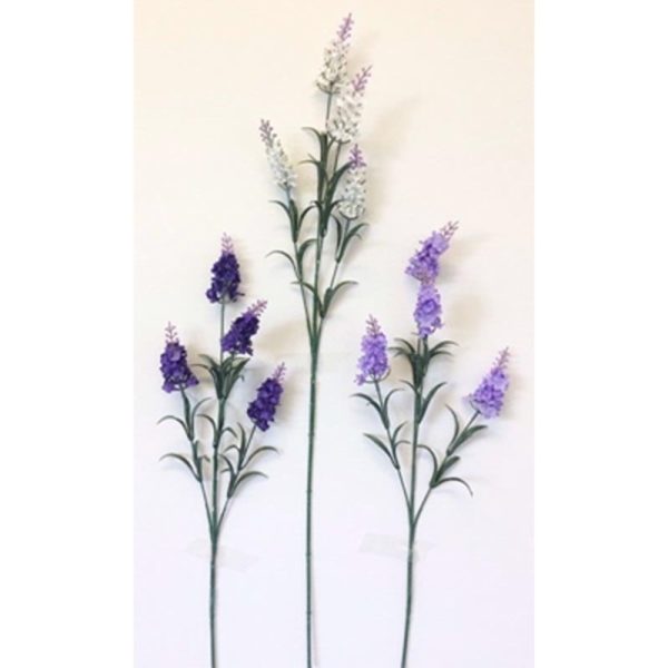 LAVENDER SINGLE STEM ASS