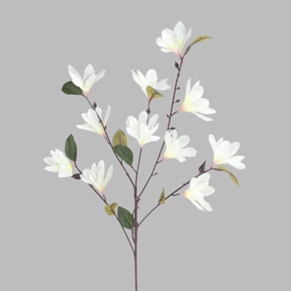 MAGNOLIA STEM 90CM