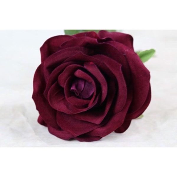 TEA ROSE SINGLE STEM BURGANDY