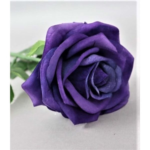 TEA ROSE SINGLE STEM PURPLE