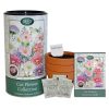 BEES CUT FLOWER GROW KIT