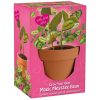 MAGIC BEAN GROW SET