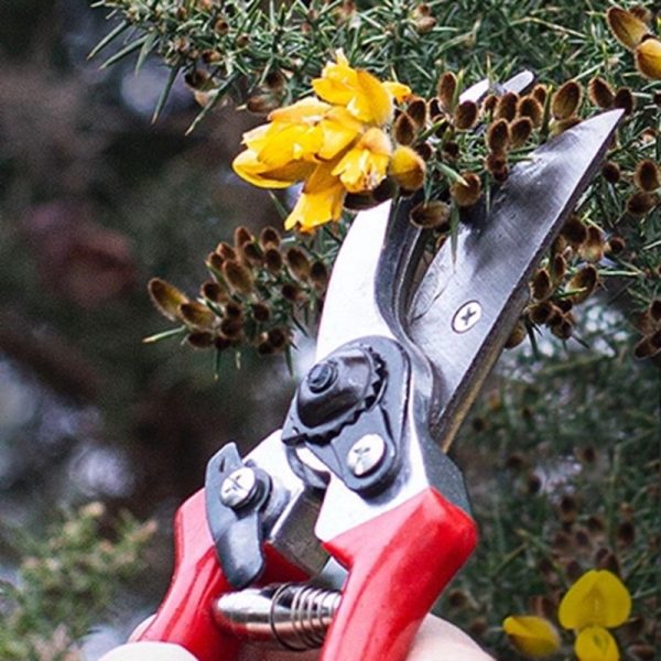 AMTECH PRUNER HEAVY DUTY