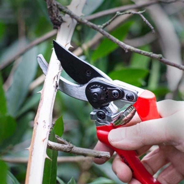 AMTECH PRUNER HEAVY DUTY