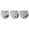 RIBBON GIFT CACTUS GROW SET 3 ASST