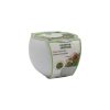 RIBBON GIFT CACTUS GROW SET 3 ASST