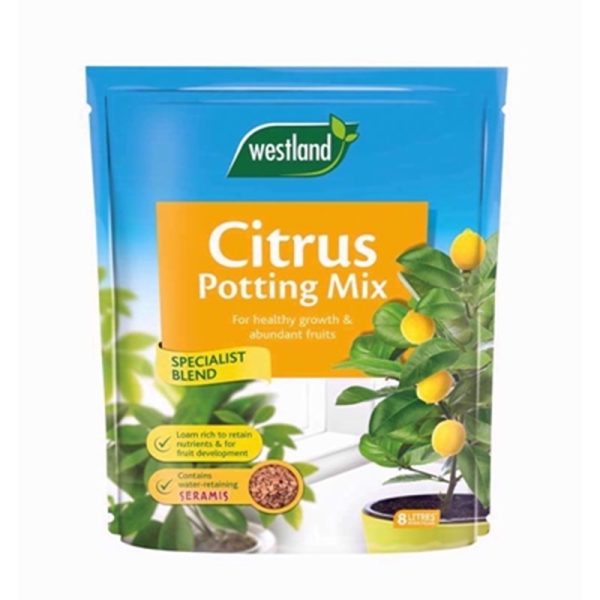 WESTLAND CITRUS POTTING MIX 8LTR