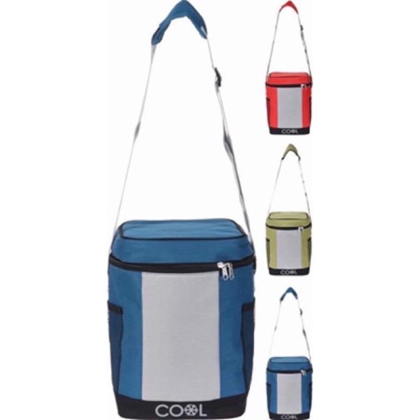 COOLER BAG 10LTR ASSORTED D000