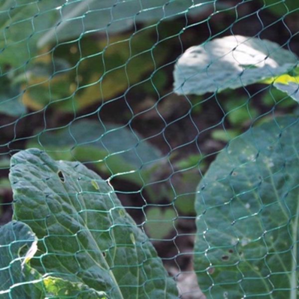 SHEDMATES GARDEN NETTING 3M X 2M