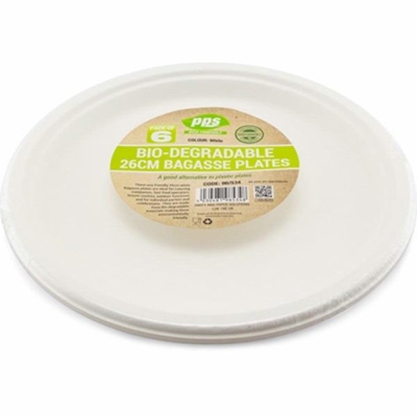 PPS BAGASSE 6 PLATES WHITE 26CM