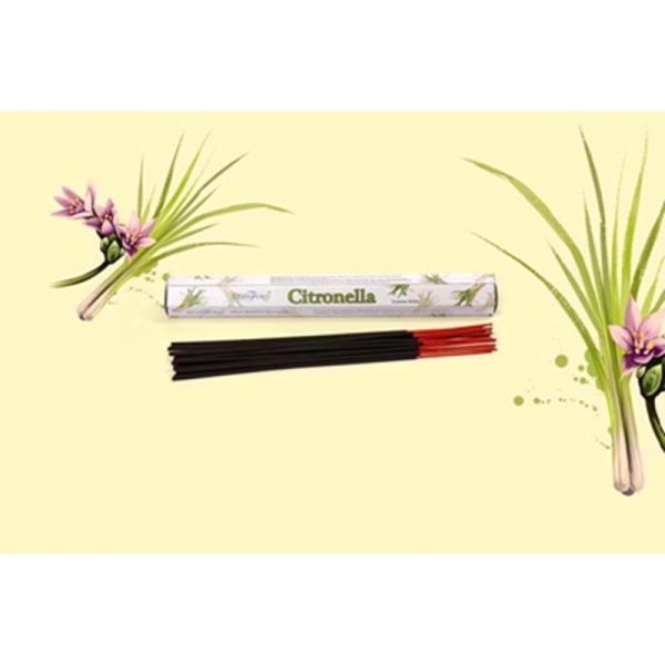 INCENSE STICKS CITRONELLA PACK OF 6