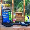 LEVINGTON PEAT FREE + JI SEED COMPOST 10L