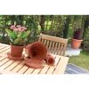 WHITEFURZE POT SAUCERS 7-8 INCH