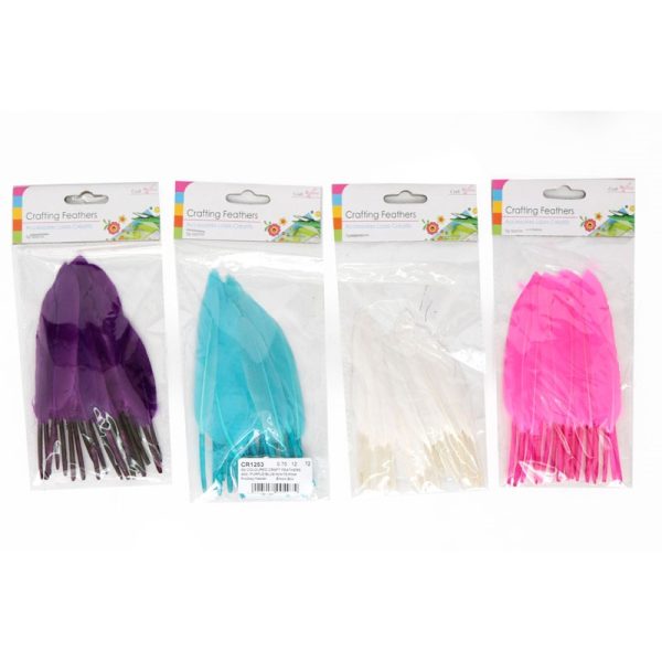 5G COLOURED CRAFT FEATHERS