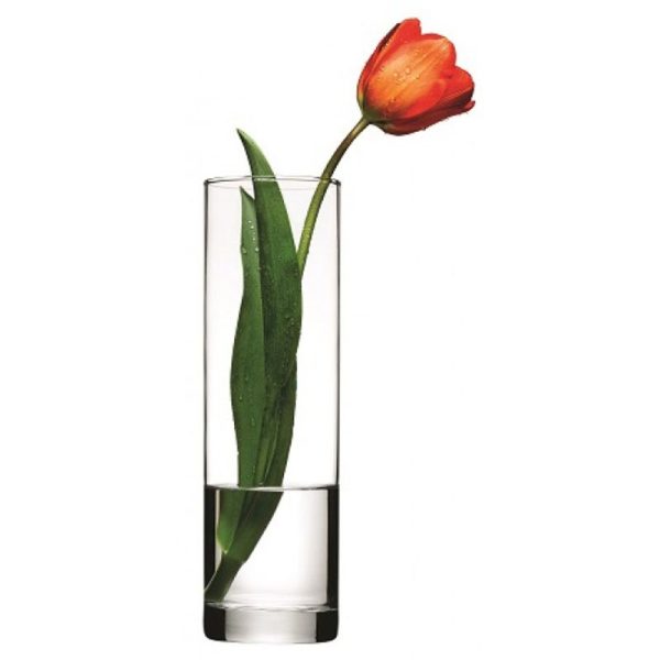 PASABACHE BOTANICA CYLINDER VASE