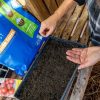 LEVINGTON PEAT FREE + JI SEED COMPOST 10L