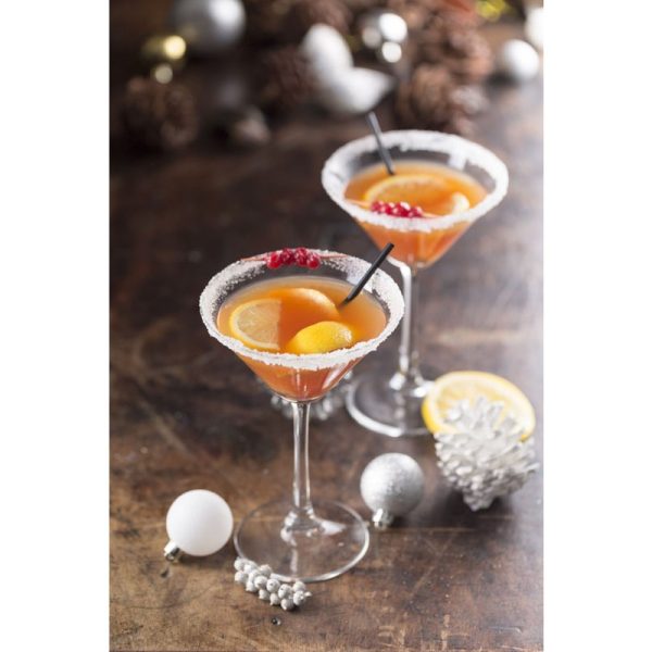 RAVENHEAD ENTERTAIN 2PC MARTINI GLASSES 20CL