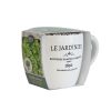 BEES LE JARDINIER HERB CUP PLANTER SET ASSORTED