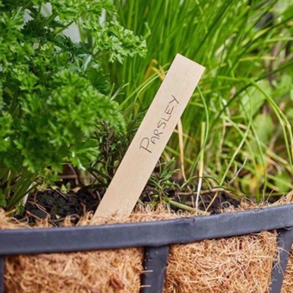 SMART GARDEN PLANT LABELS WOODEN 15CM PACK OF 20