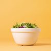 MASON CASH PUDDING BASIN SIZE 24 (2023)