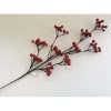 BERRY SPRAY RED 24 INCH