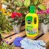 MIRACLE GRO POUR AND FEED 1LTR