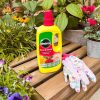 MIRACLE GRO ROSE SHRUB LIQUID FOOD 800ML