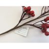 BERRY SPRAY RED 24 INCH
