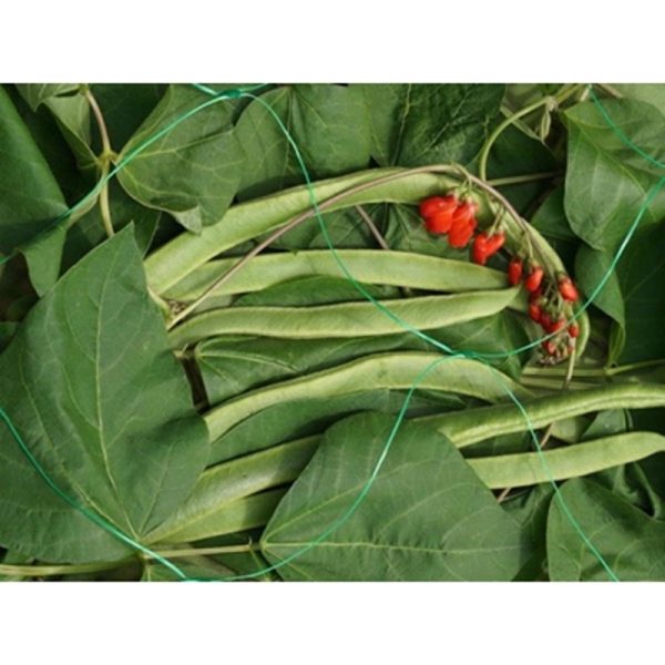 GARDEN NETTING - PEA & BEAN 150MM 2 X5M